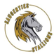 Saugerties Stallions